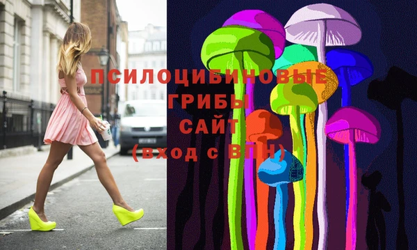 гашик Покровск